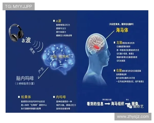 排球传奇周伟专访揭秘成功背后的秘密与坚持之道