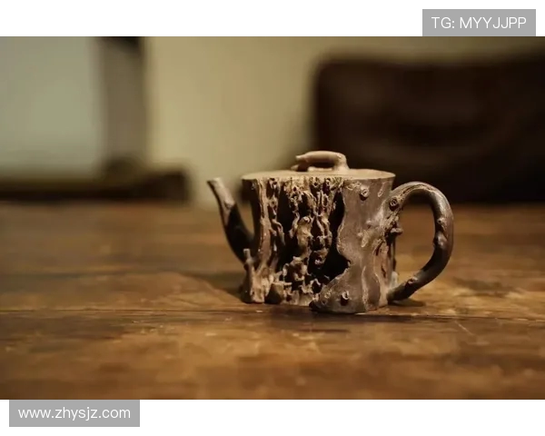 攀岩高手陈军分享成功秘诀与训练心得的独家专访