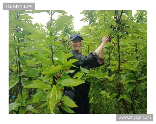 王芳的足球人生：从绿茵场上的拼搏到人生哲学的深度对话