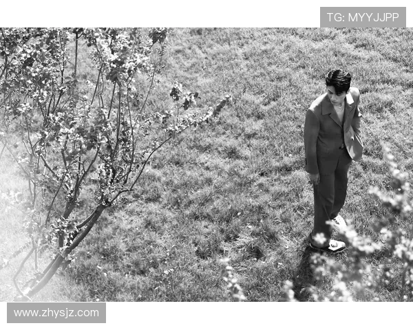 探索阿拉巴的魅力与文化深度发现这片土地的独特风情与历史底蕴