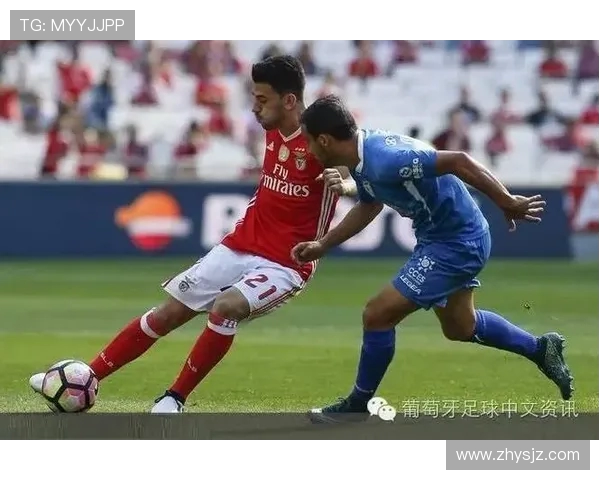 本菲卡与阿鲁卡对决前瞻分析及比赛结果预测