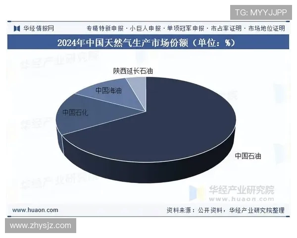 独家深度解析全球LNG市场竞争格局与实力对比分析 独家深度解析全球LNG市场竞争格局与实力对比分析