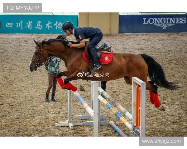 成都街舞队技术分析与风格演绎的深度探讨与分享