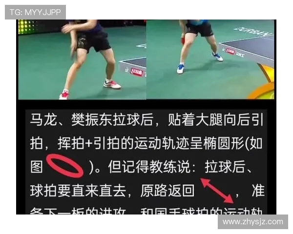 杭州乒乓球队进攻策略全解析揭秘乒乓球技术深度与战术运用